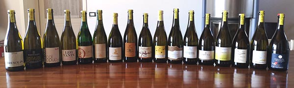 Bottiglie di Colfondo Agricolo