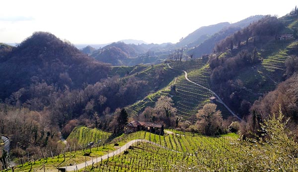 Colline del Prosecco