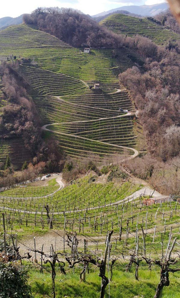 Colline del Prosecco
