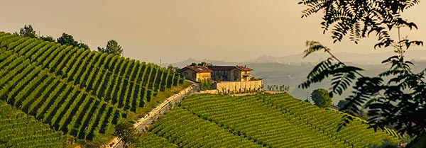 L'azienda Fortemasso a Monforte d'Alba