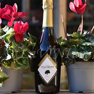 Franciacorta Riserva del Gelso Dosaggio Zero 2015 Villa Crespia