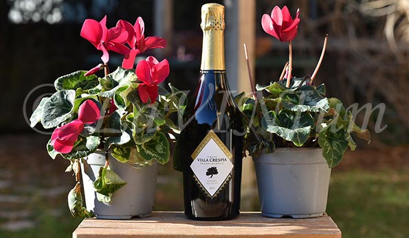 Franciacorta Riserva del Gelso Dosaggio Zero 2015 Villa Crespia