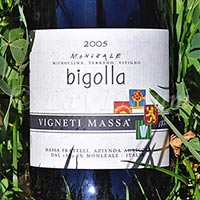 Colli Tortonesi Monleale Bigolla 2005 Vigneti Massa