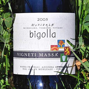 Colli Tortonesi Monleale Bigolla 2005 Vigneti Massa