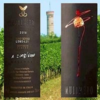 Mulinëro Collezione Privata 2018 Malavasi