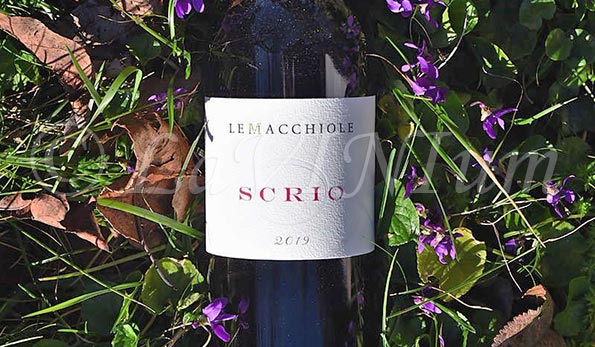 Scrio 2019 Le Macchiole