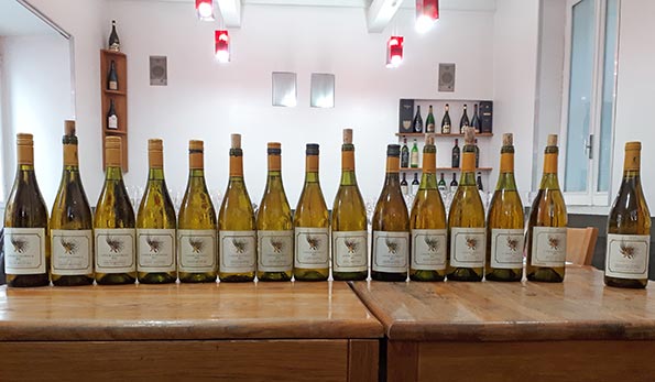 Verticale Latour a Civitella 2020-1997 Tenuta Mottura