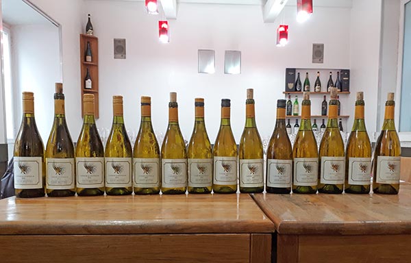 Verticale Latour a Civitella 2020-1997 Tenuta Mottura