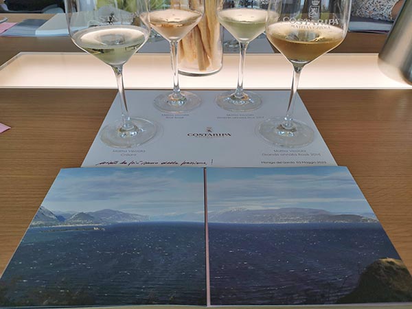 Vini Mattia Vezzola Costaripa