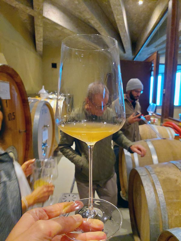 Degustazione in cantina