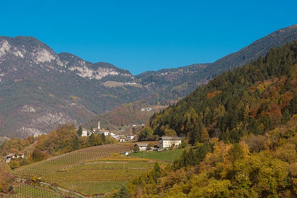 Steinhaus, panorama sui vigneti di Salorno