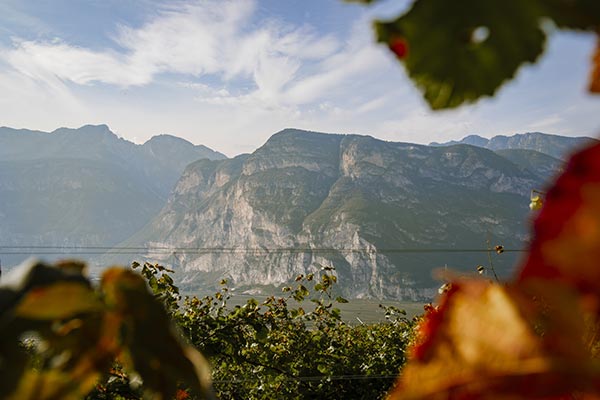 Panorama sulle montagne che sovrastano Salorno