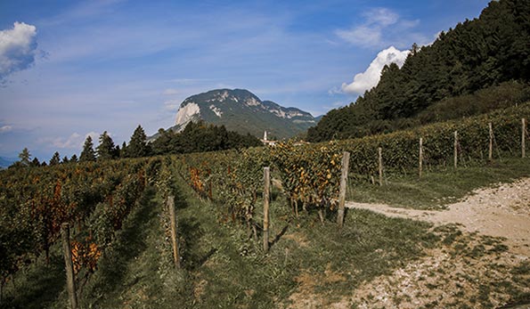 Steinhaus Alto Adige