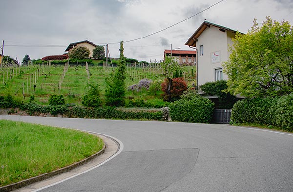 Vigne a Masserano. © Danila Atzeni