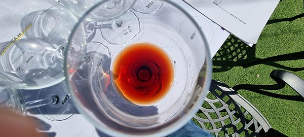 Brunello di Montalcino 1979 Argiano nel calice