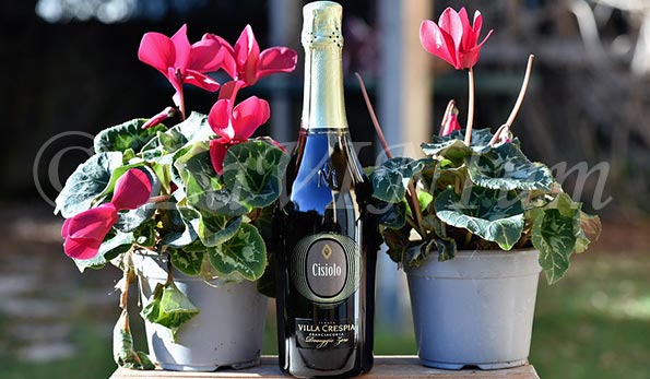 Franciacorta Dosaggio Zero Cisiolo 2022 Villa Crespia