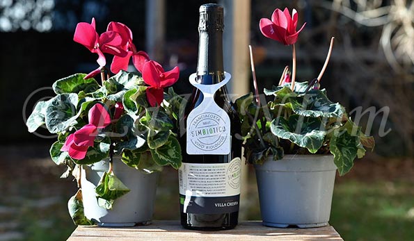 Franciacorta Simbiotico Brut Villa Crespia