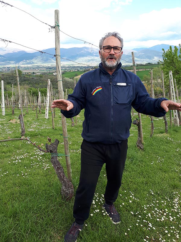 Gianluca Piernera, Cantine Ninni