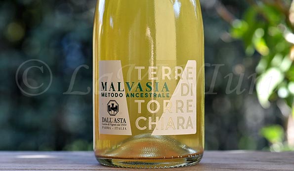 Malvasia Metodo Ancestrale Terre di Torrechiara Cantine Dall'Asta