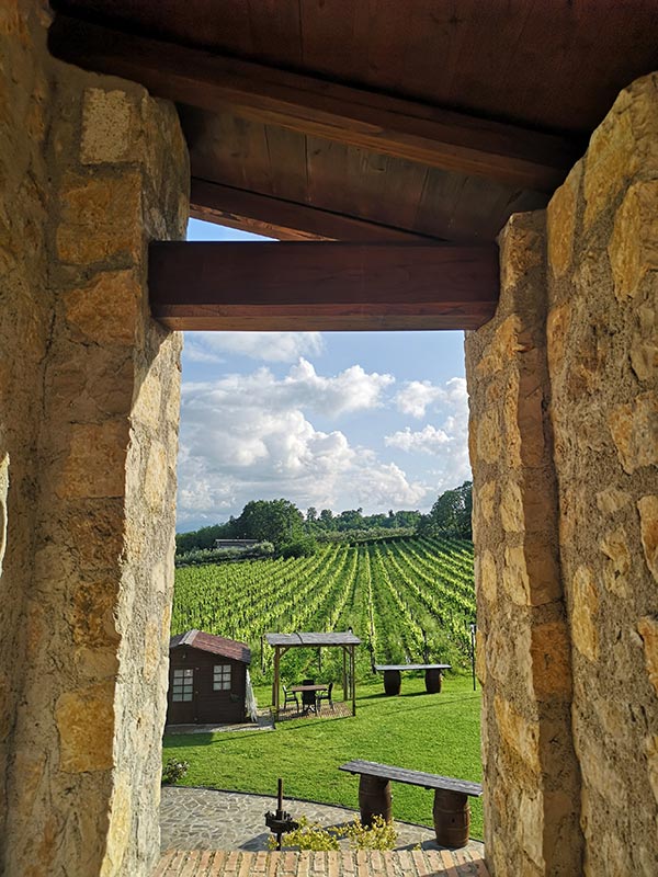 Vigneti Casale VerdeLuna