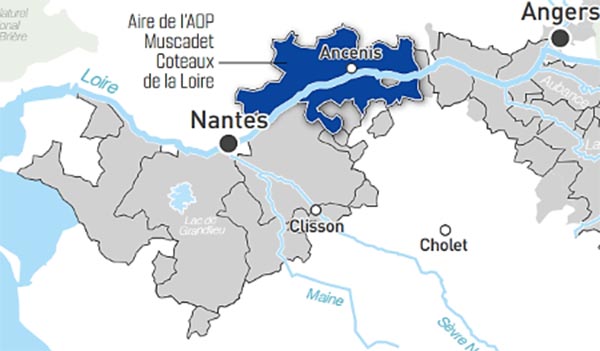 AOC Coteau de la Loire