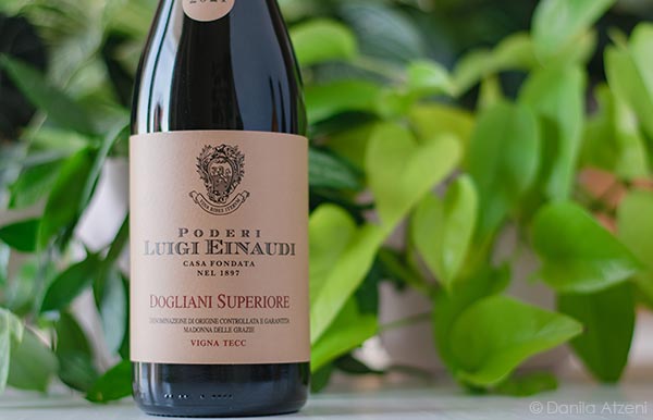 Dogliani Superiore Vigna Tecc 2021