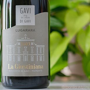 Gavi del Comune di Gavi Lugarara 2022 La Giustiniana