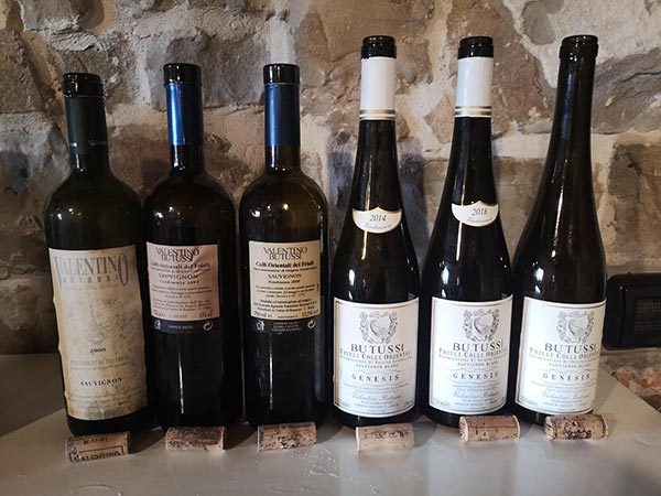 verticale Genesis Valentino Butussi