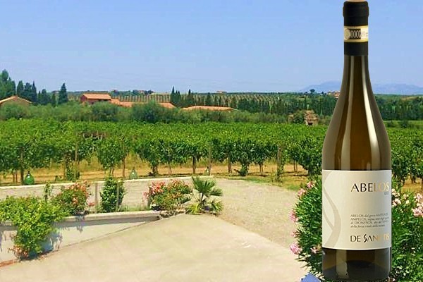 Frascati Superiore ”Abelos” 2022 De Sanctis