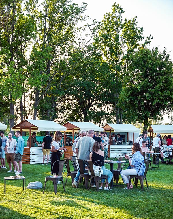 Radici Storie e vini dei Colli Bolognesi