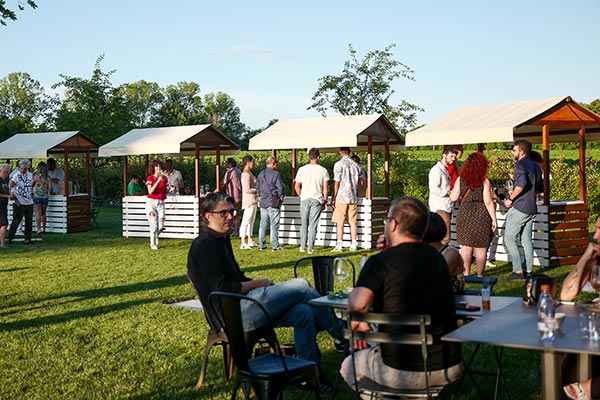 Radici Storie e vini dei Colli Bolognesi