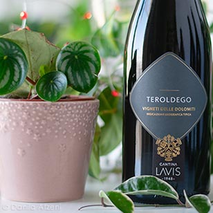 Teroldego 2021 La-Vis