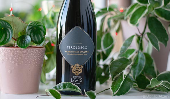 Teroldego 2021 La-Vis