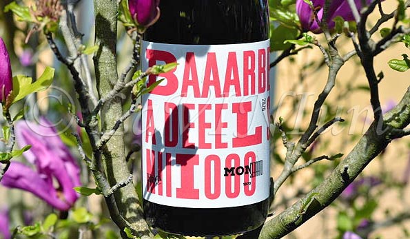 Barbera del Sannio 2020 Monserrato 1973