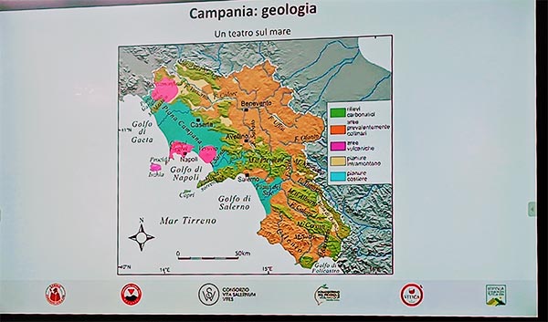 Campania Wine 2023
