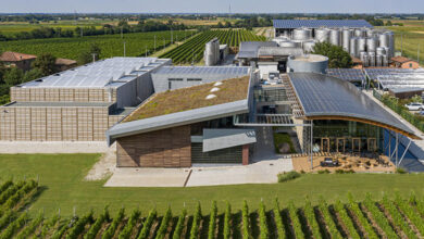 Cantine Sgarzi Luigi