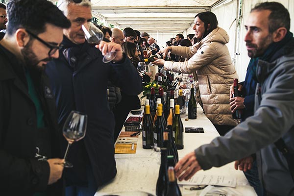 Contrade dell'Etna 2023