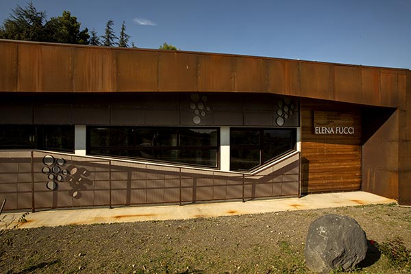 Elena Fucci eterno azienda