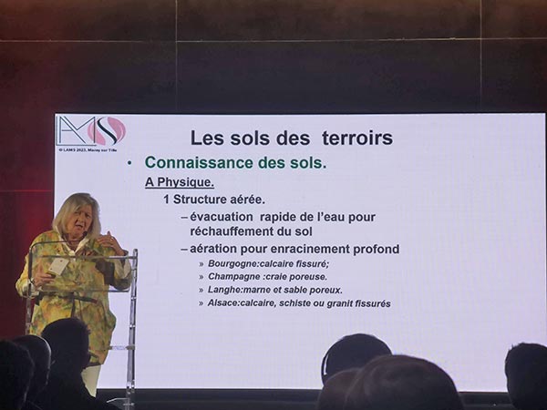 Les sols des terroirs