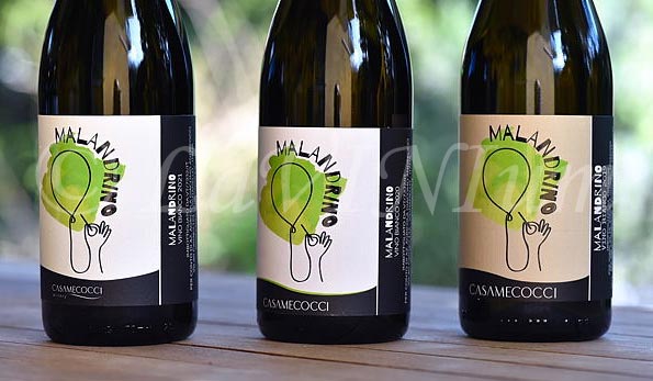 Malandrino 2019, 2020 e 2021 Casamecocci