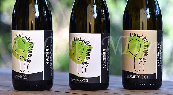 Malandrino 2019, 2020 e 2021 Casamecocci