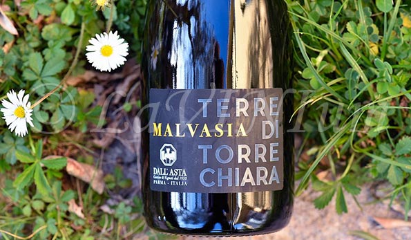 Colli di Parma Malvasia Frizzante Terre di Torrechiara 2021 Dall'Asta