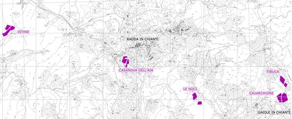 mappa vigneti azienda Istine