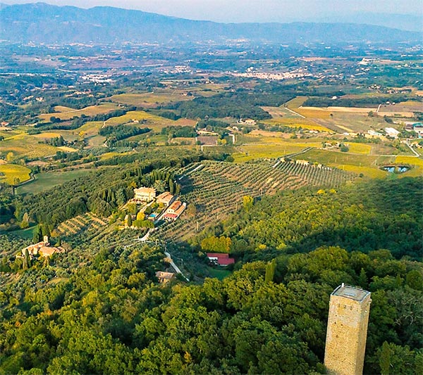 L'azienda Petrolo con i propri vigneti