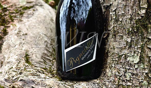 Pignoletto Spumante Extra Dry Sgarzi Luigi