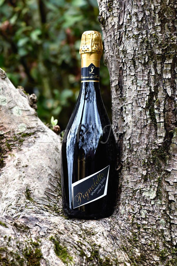 Pignoletto Spumante Extra Dry Sgarzi Luigi