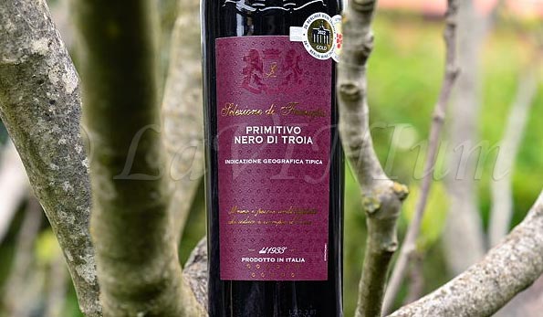 Primitivo Nero di Troia 2021 Cantine Luigi Sgarzi
