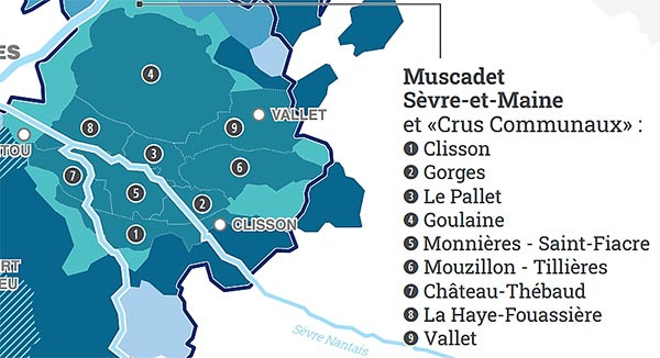 Muscadet Sèvre et Maine