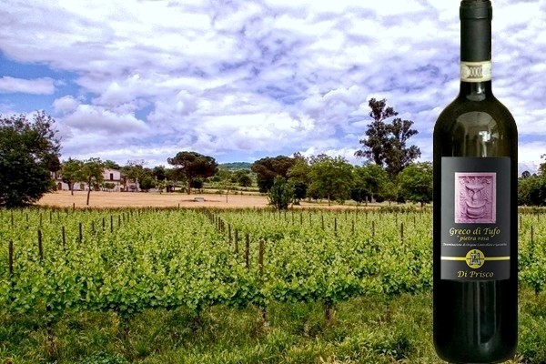 Greco di Tufo Pietra Rosa 2019 Di Prisco