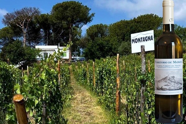 Lacryma Christi Bianco ”Territorio de’ Matroni”